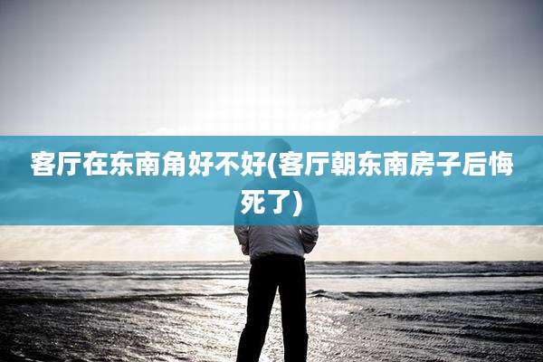 客厅在东南角好不好(客厅朝东南房子后悔死了)
