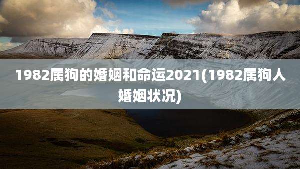 1982属狗的婚姻和命运2021(1982属狗人婚姻状况)
