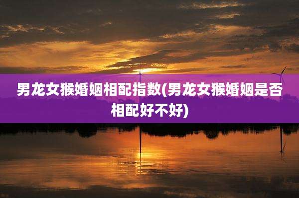 男龙女猴婚姻相配指数(男龙女猴婚姻是否相配好不好)
