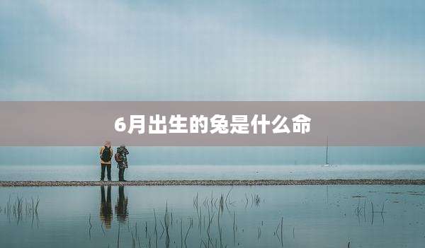6月出生的兔是什么命