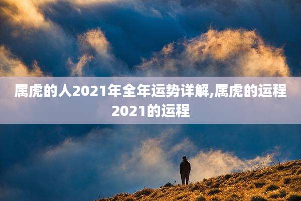 属虎的人2021年全年运势详解,属虎的运程2021的运程