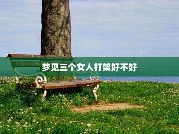 梦见三个女人打架好不好