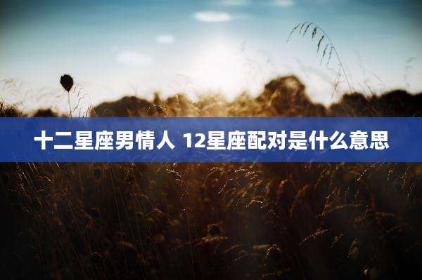 十二星座男情人 12星座配对是什么意思