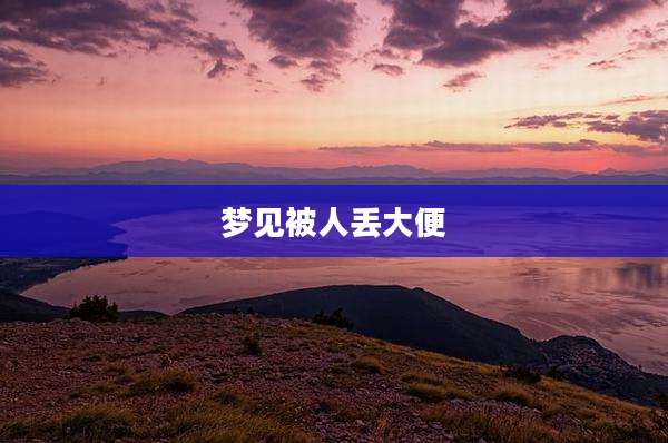 梦见被人丢大便