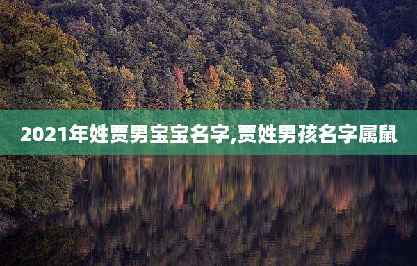 2021年姓贾男宝宝名字,贾姓男孩名字属鼠
