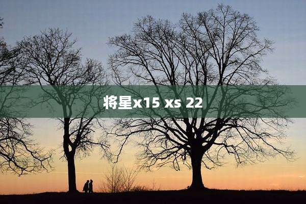 将星x15 xs 22