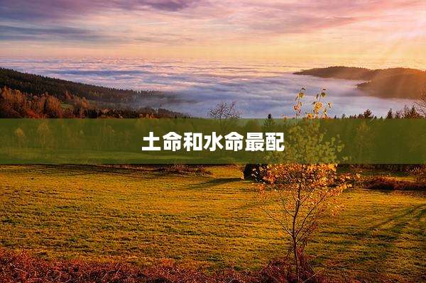 土命和水命最配