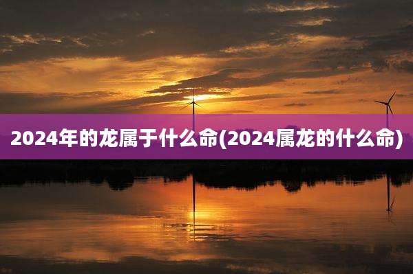 2024年的龙属于什么命(2024属龙的什么命)