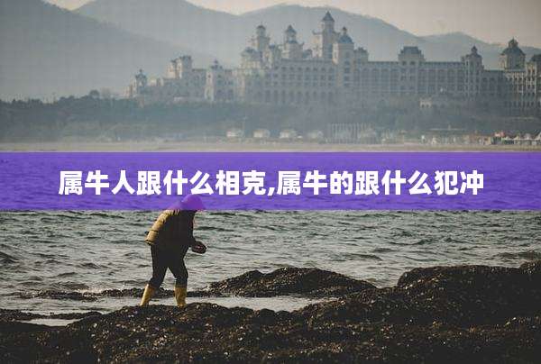 属牛人跟什么相克,属牛的跟什么犯冲