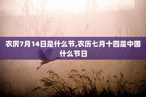 农厉7月14日是什么节,农历七月十四是中国什么节日