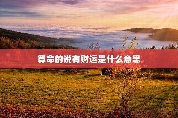 算命的说有财运是什么意思