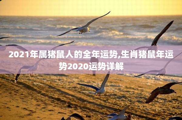 2021年属猪鼠人的全年运势,生肖猪鼠年运势2020运势详解