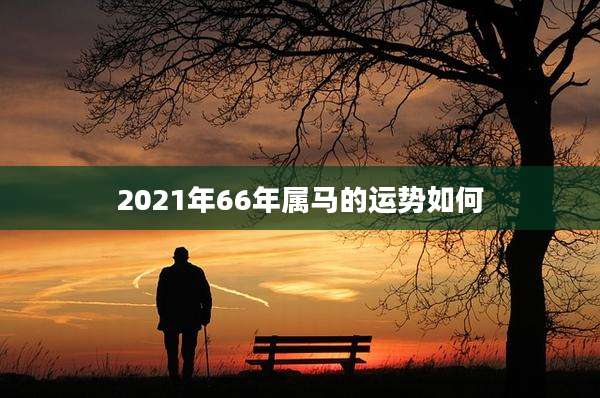 2021年66年属马的运势如何