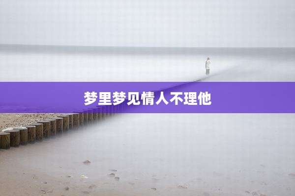 梦里梦见情人不理他