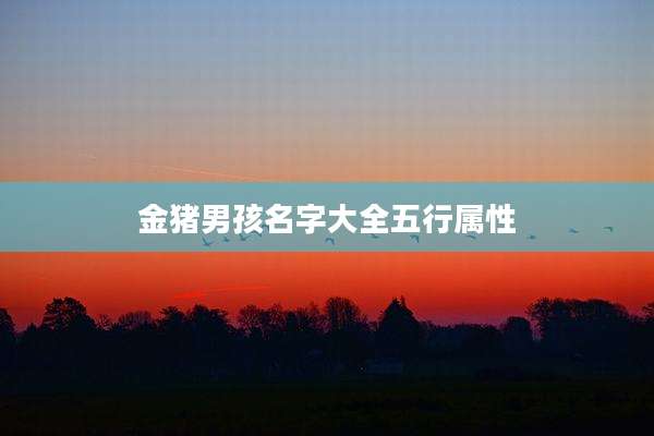 金猪男孩名字大全五行属性