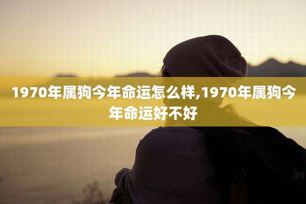 1970年属狗今年命运怎么样,1970年属狗今年命运好不好