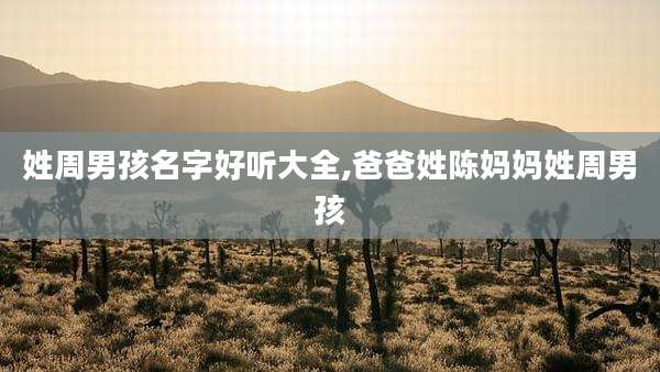 姓周男孩名字好听大全,爸爸姓陈妈妈姓周男孩