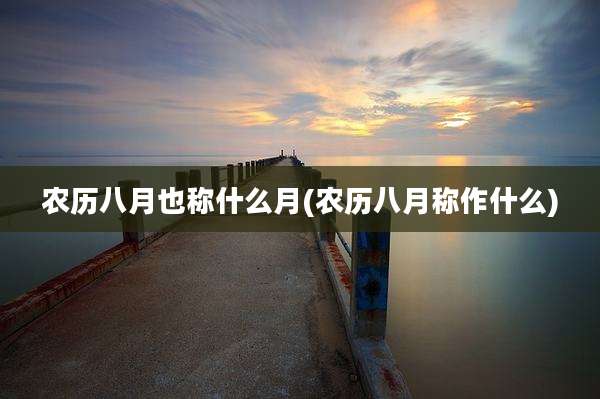 农历八月也称什么月(农历八月称作什么)