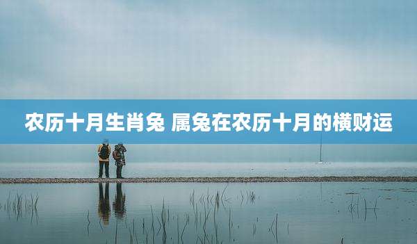 农历十月生肖兔 属兔在农历十月的横财运