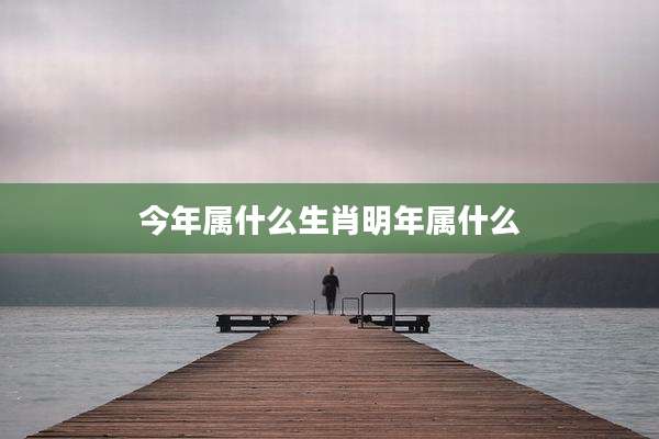 今年属什么生肖明年属什么