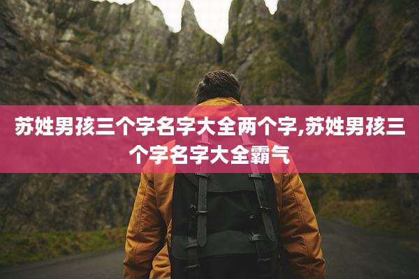 苏姓男孩三个字名字大全两个字,苏姓男孩三个字名字大全霸气