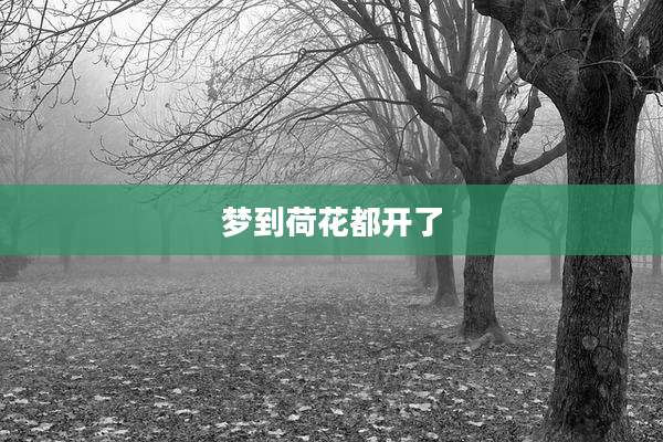 梦到荷花都开了