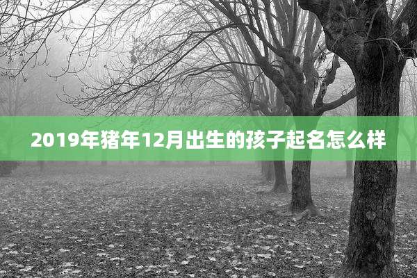 2019年猪年12月出生的孩子起名怎么样