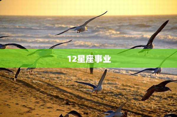 12星座事业