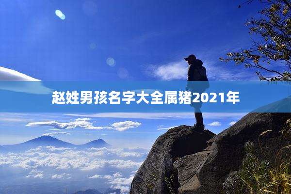 赵姓男孩名字大全属猪2021年