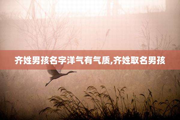 齐姓男孩名字洋气有气质,齐姓取名男孩