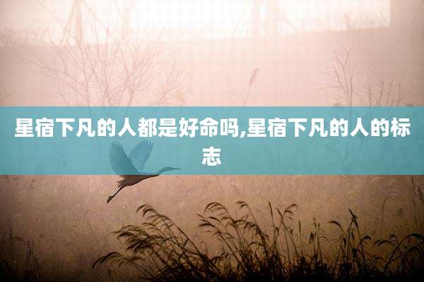 星宿下凡的人都是好命吗,星宿下凡的人的标志