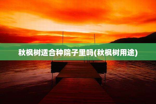 秋枫树适合种院子里吗(秋枫树用途)