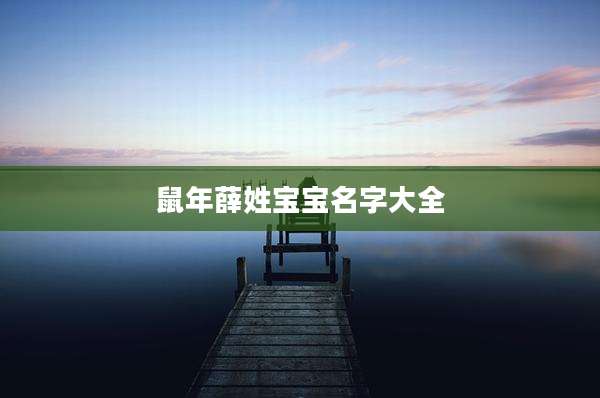 鼠年薛姓宝宝名字大全