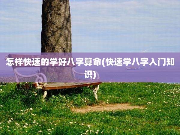 怎样快速的学好八字算命(快速学八字入门知识)