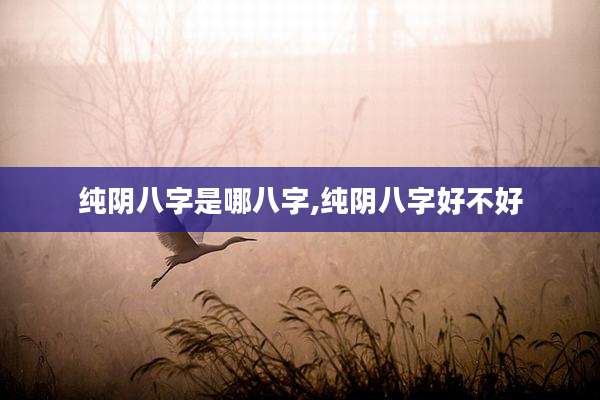 纯阴八字是哪八字,纯阴八字好不好