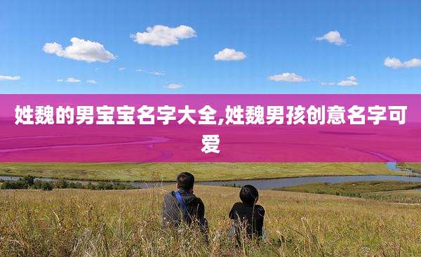 姓魏的男宝宝名字大全,姓魏男孩创意名字可爱