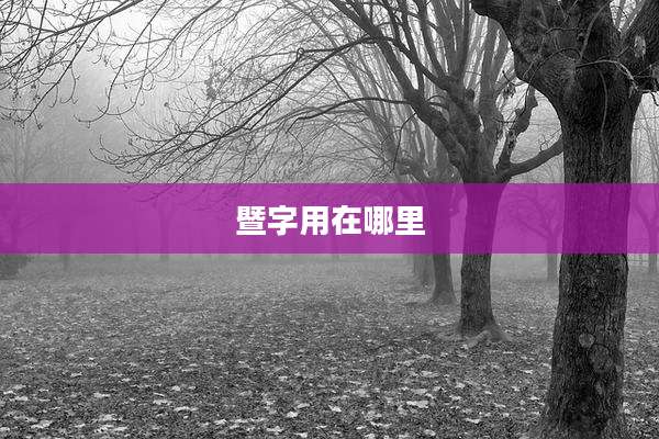 暨字用在哪里