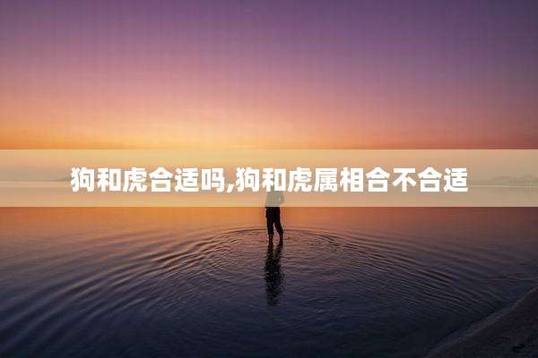 狗和虎合适吗,狗和虎属相合不合适
