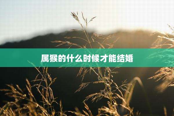 属猴的什么时候才能结婚