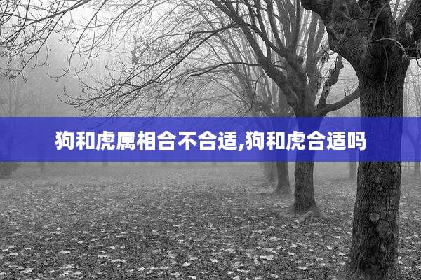 狗和虎属相合不合适,狗和虎合适吗