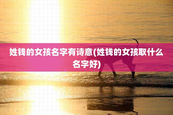 姓钱的女孩名字有诗意(姓钱的女孩取什么名字好)