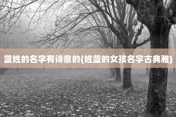 蓝姓的名字有诗意的(姓蓝的女孩名字古典雅)