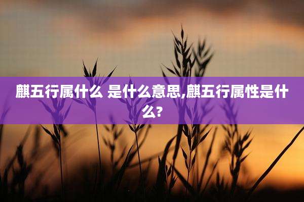 麒五行属什么 是什么意思,麒五行属性是什么?