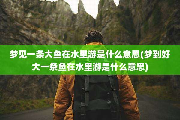 梦见一条大鱼在水里游是什么意思(梦到好大一条鱼在水里游是什么意思)