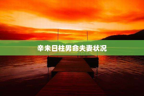 辛未日柱男命夫妻状况