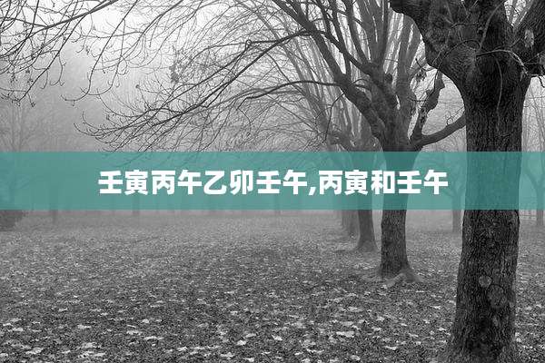 壬寅丙午乙卯壬午,丙寅和壬午