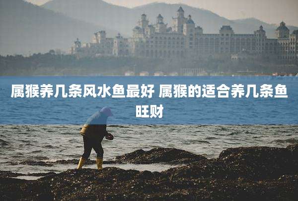 属猴养几条风水鱼最好 属猴的适合养几条鱼旺财