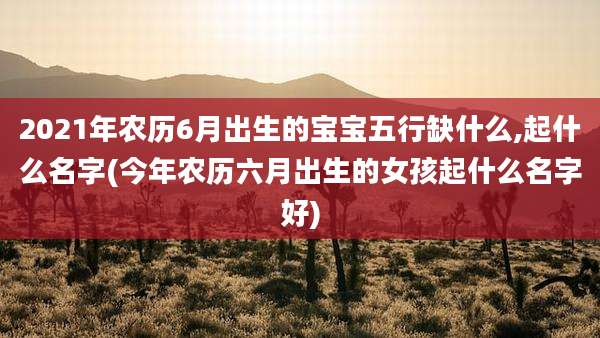 2021年农历6月出生的宝宝五行缺什么,起什么名字(今年农历六月出生的女孩起什么名字好)