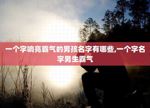 一个字响亮霸气的男孩名字有哪些,一个字名字男生霸气