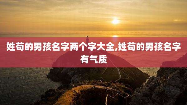 姓苟的男孩名字两个字大全,姓苟的男孩名字有气质